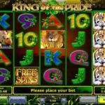 interfaccia slot machine king of the pride