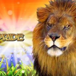 slot gratis king of the pride