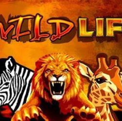 slot gratis the wild life