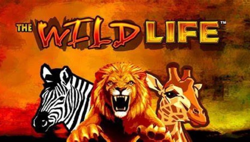 slot gratis the wild life